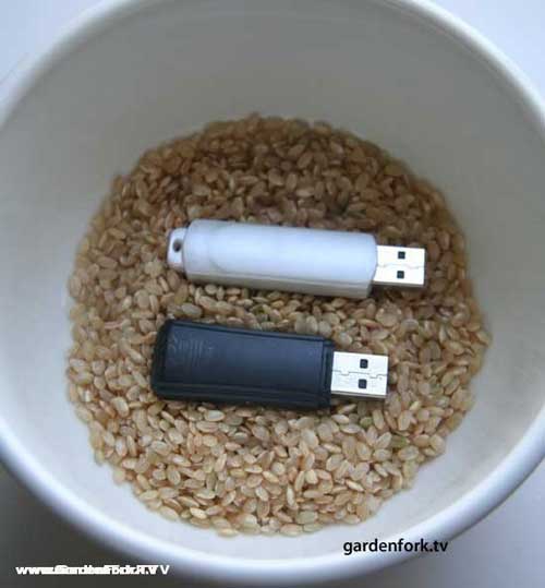 USB dính nước